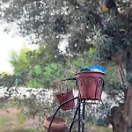 With Private Pool In Alacati Vila *