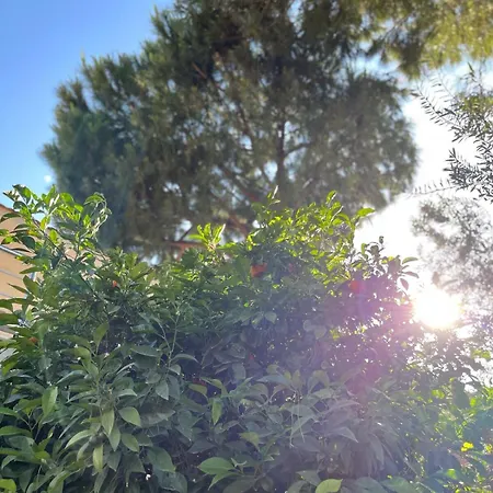 With Private Pool In Alacati Villa *