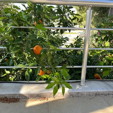 With Private Pool In Alacati