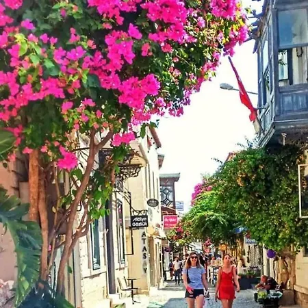 With Private Pool In Alacati Villa